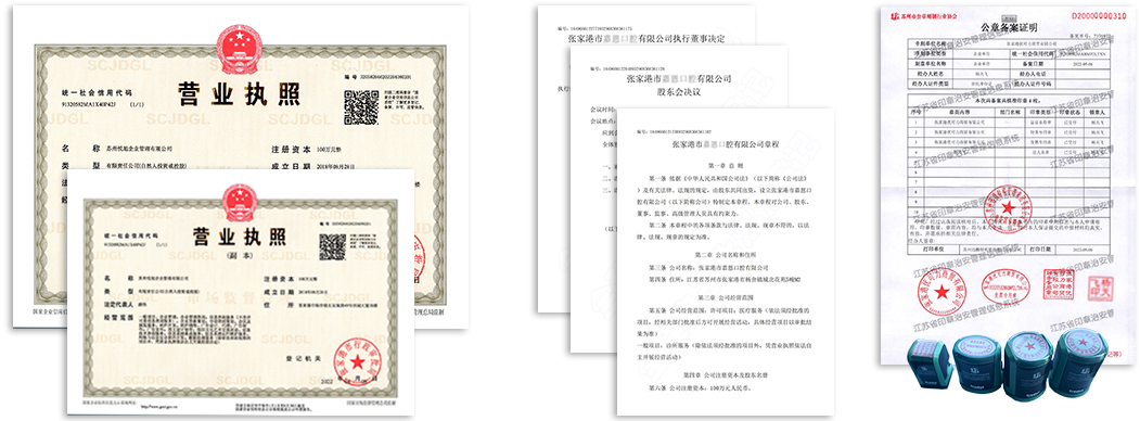 河东公司注册资料